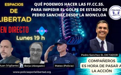 Qué podemos hacer los miembros de las FF.CC.SS. para impedir el Golpe de Estado de Pedro Sánchez