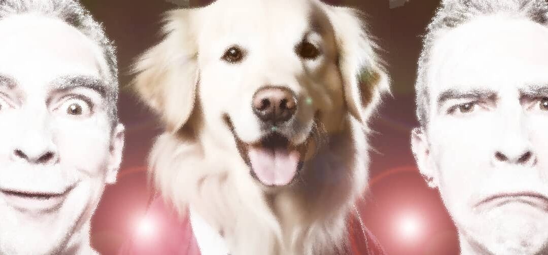 Evidencia científica VS Autopercepción. No estamos locos, que sabemos lo qué queremos