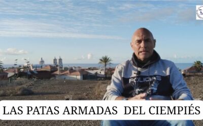 LAS PATAS ARMADAS DEL CIEMPIÉS